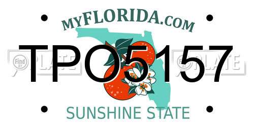 TPO5157 Florida License Plate