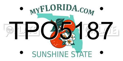 TPO5187 Florida License Plate