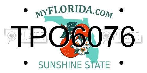 TPO6076 Florida License Plate