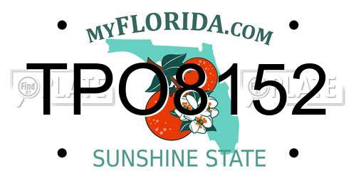 TPO8152 Florida License Plate