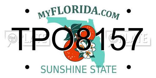 TPO8157 Florida License Plate