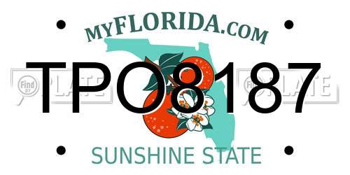 TPO8187 Florida License Plate