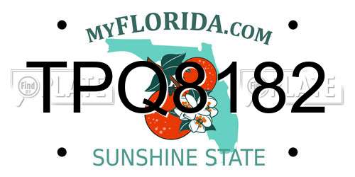 TPQ8182 Florida License Plate