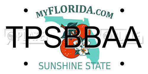 TPSBBAA Florida License Plate