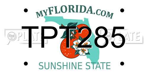 TPT285 Florida License Plate