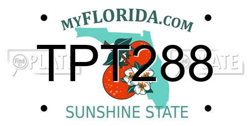 TPT288 Florida License Plate