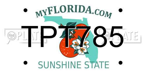 TPT785 Florida License Plate
