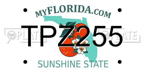 TPZ255 Florida License Plate