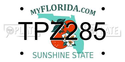 TPZ285 Florida License Plate