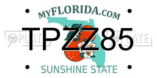 TPZZ85 Florida License Plate