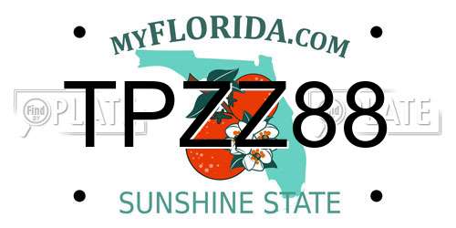 TPZZ88 Florida License Plate