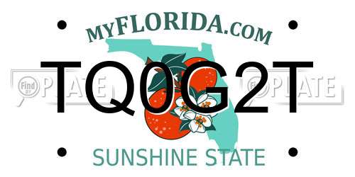 TQ0G2T Florida License Plate