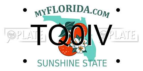 TQ0IV Florida License Plate