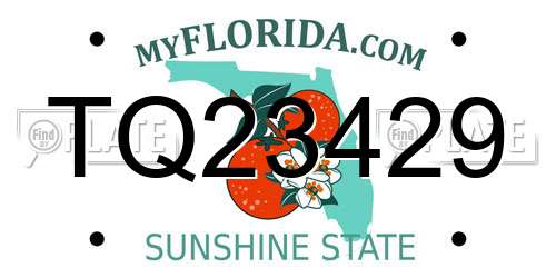 TQ23429 Florida License Plate