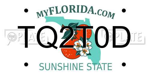 TQ2T0D Florida License Plate