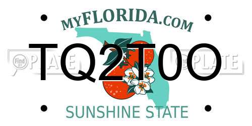TQ2T0O Florida License Plate