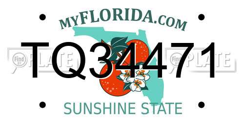 TQ34471 Florida License Plate