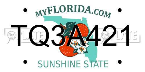 TQ3A421 Florida License Plate