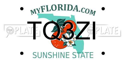 TQ3ZI Florida License Plate