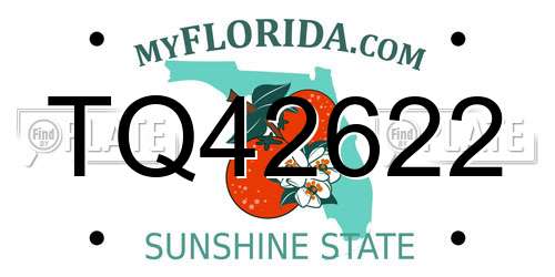 TQ42622 Florida License Plate