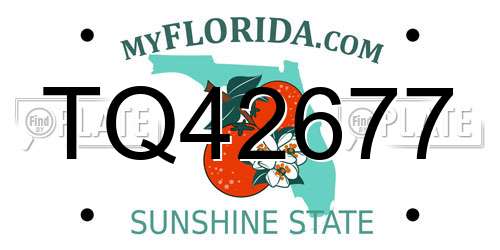 TQ42677 Florida License Plate