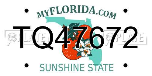 TQ47672 Florida License Plate