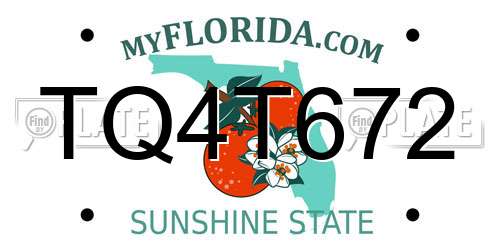 TQ4T672 Florida License Plate