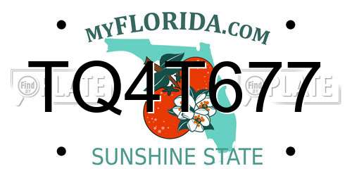 TQ4T677 Florida License Plate