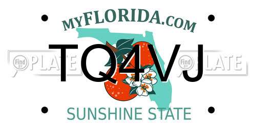 TQ4VJ Florida License Plate