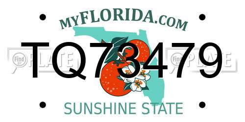 TQ73479 Florida License Plate