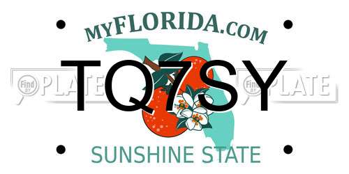 TQ7SY Florida License Plate