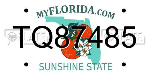 TQ87485 Florida License Plate