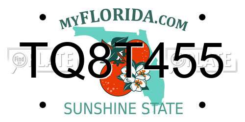 TQ8T455 Florida License Plate