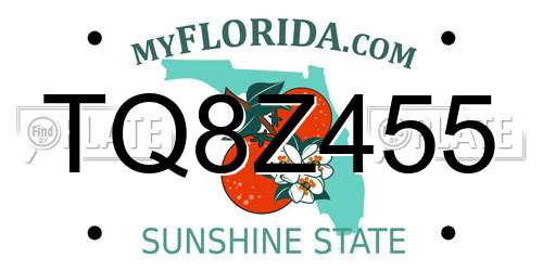 TQ8Z455 Florida License Plate