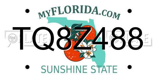 TQ8Z488 Florida License Plate