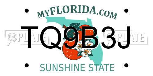 TQ9B3J Florida License Plate