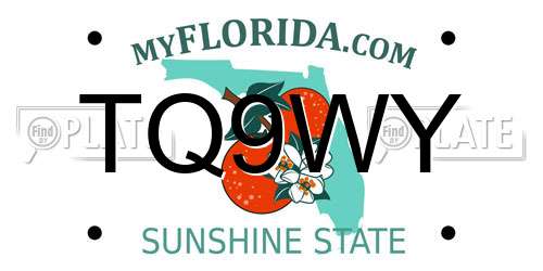 TQ9WY Florida License Plate