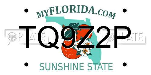 TQ9Z2P Florida License Plate