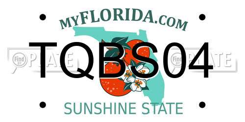 TQBS04 Florida License Plate
