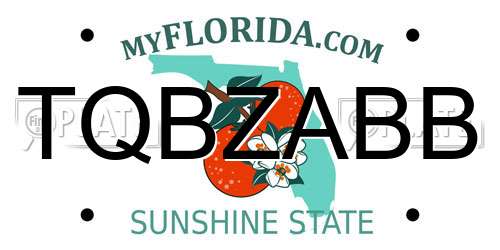 TQBZABB Florida License Plate