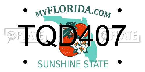 TQD407 Florida License Plate
