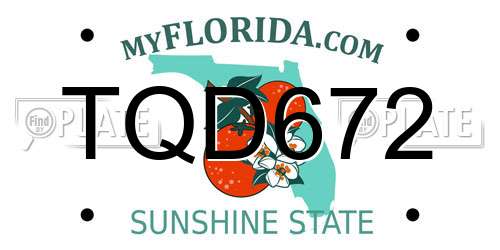 TQD672 Florida License Plate