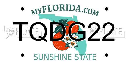 TQDG22 Florida License Plate