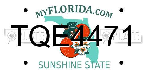 TQE4471 Florida License Plate
