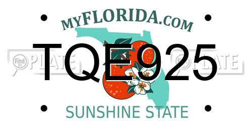 TQE925 Florida License Plate