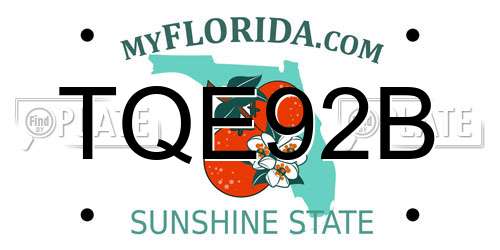 TQE92B Florida License Plate