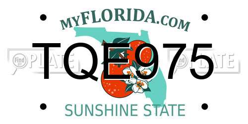 TQE975 Florida License Plate