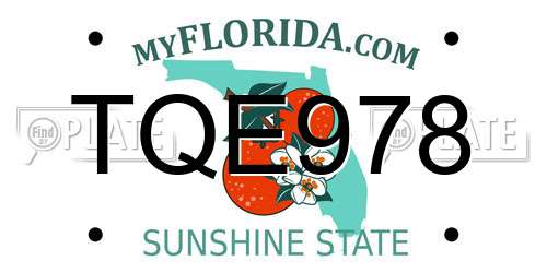 TQE978 Florida License Plate