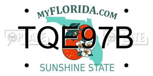 TQE97B Florida License Plate