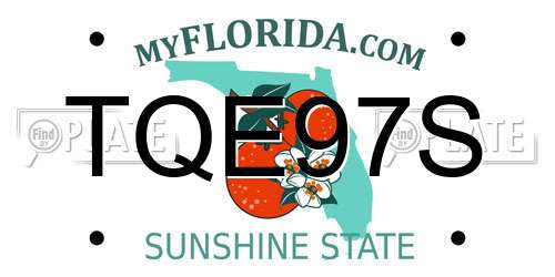 TQE97S Florida License Plate
